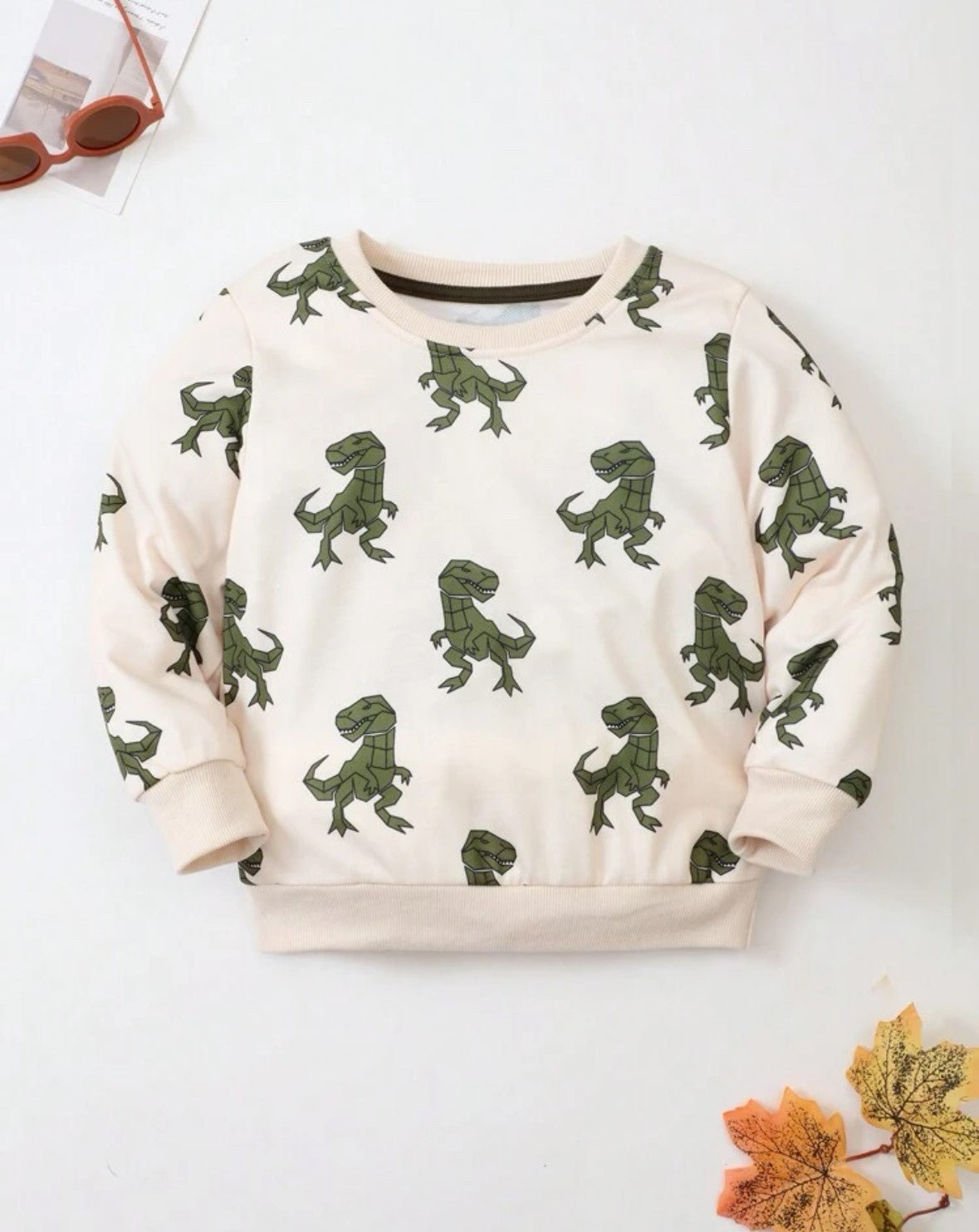 Dino Sweatshirt