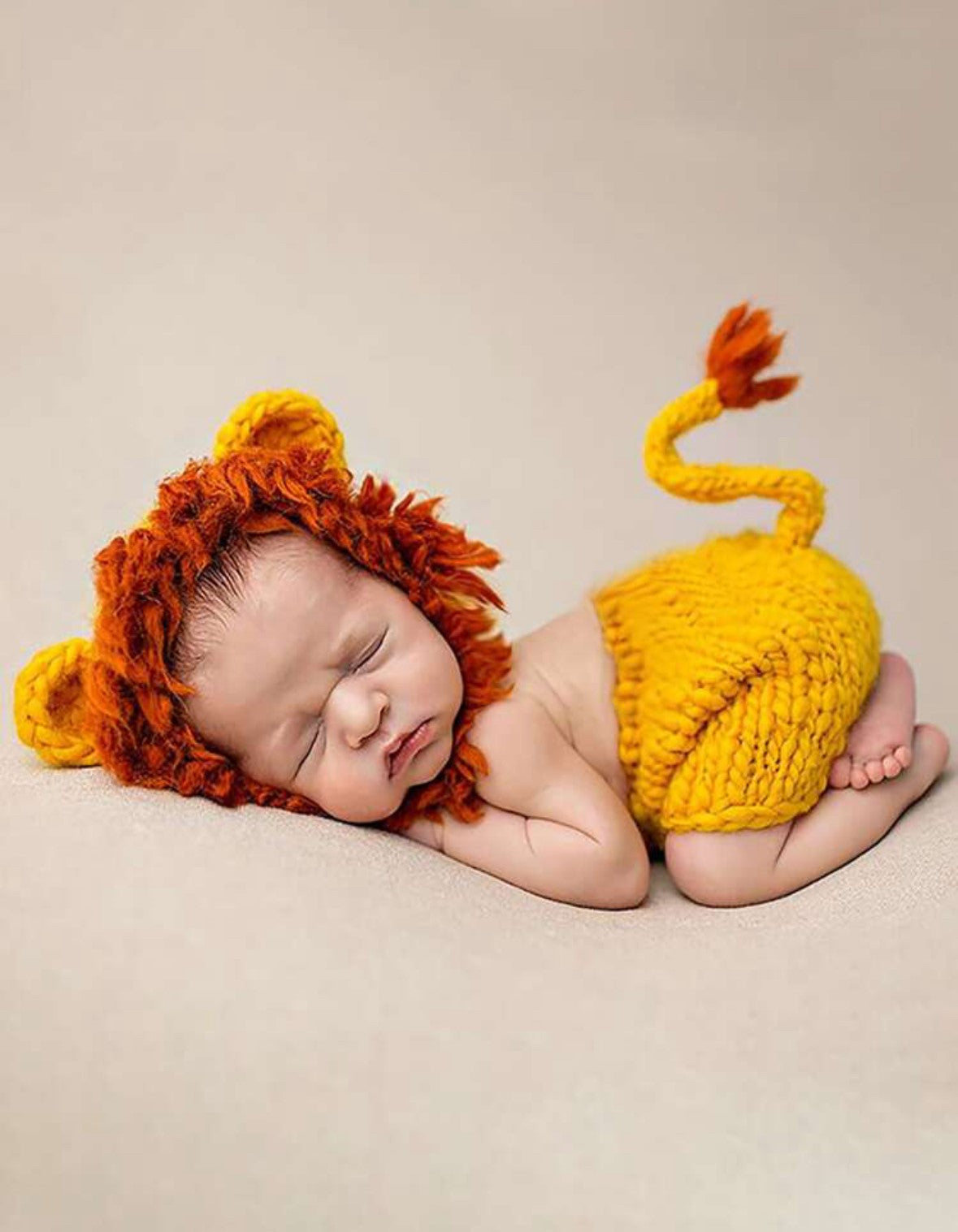 Newborn Lion Costume