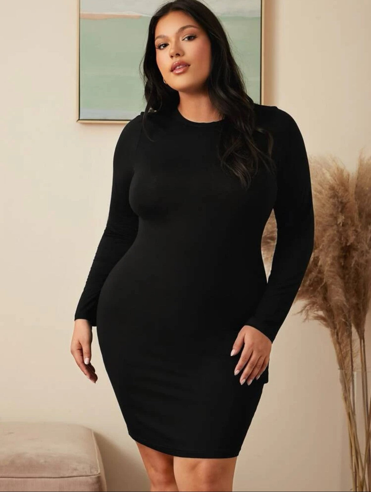 Bodycon Dress with Long Sleeve